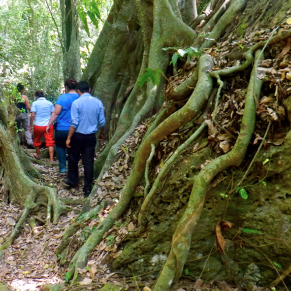 Centro Ecoturístico El Remolino